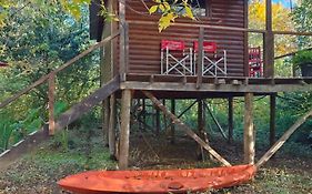 Cabaña Los Cipreses